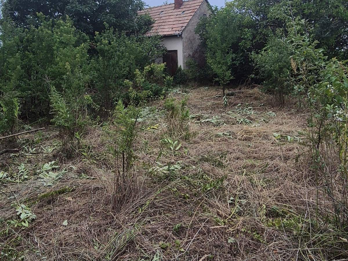 Ugyanaz a telek kitisztítva, a ház ismét látható